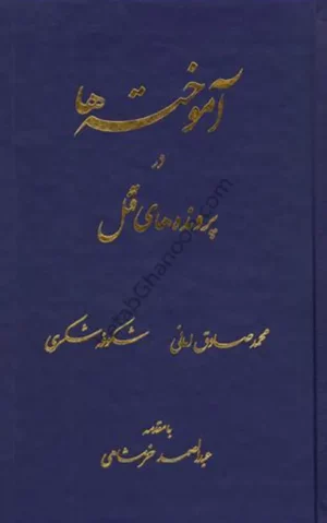 آموخته ها در پرونده های قتل محمدصادق امانی